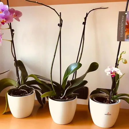 Apartament Casa Beraldini