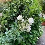 Apartamento Casa Beraldini Verona