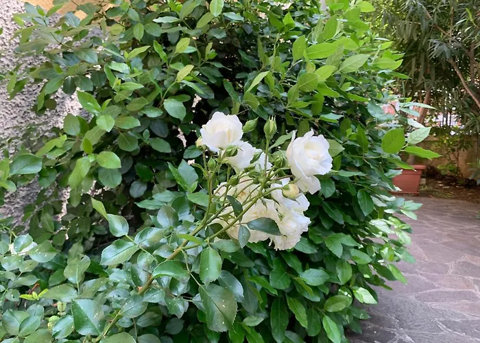 Apartment Casa Beraldini Verona