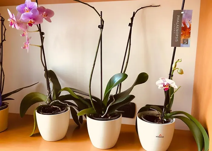 Apartamento Casa Beraldini