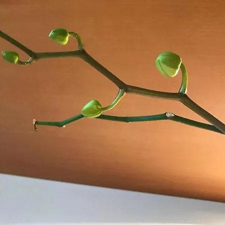 Casa Beraldini Апартаменты